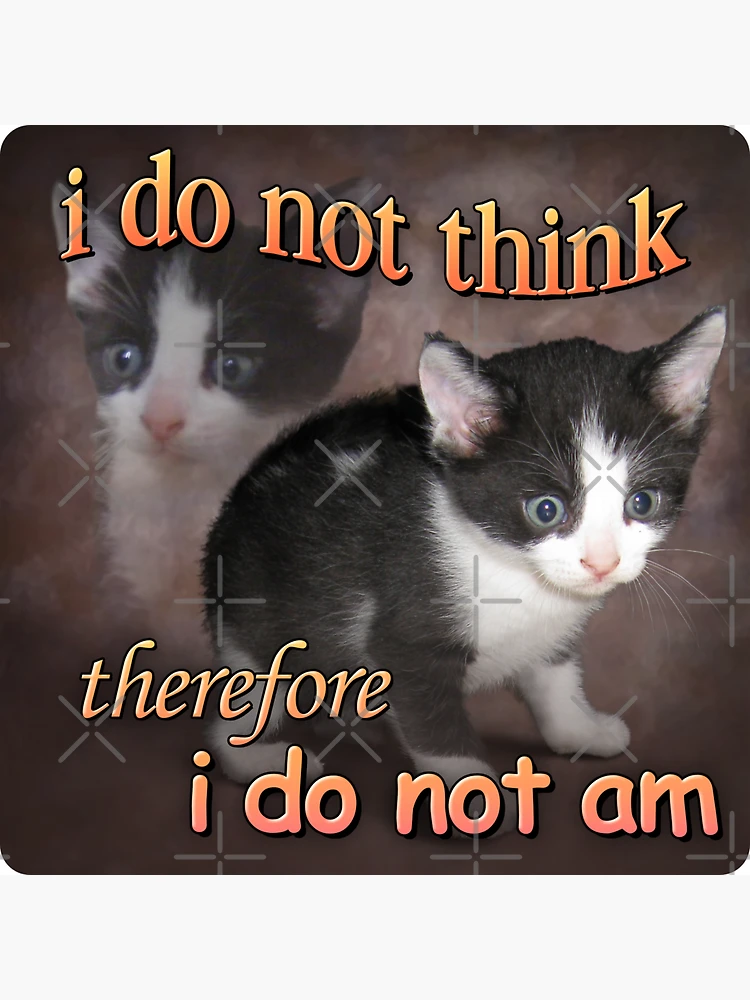 Imagen 3 de 3, Imán con la obra No pienso, por lo tanto, no existo - retrato de meme de gato, diseñada y vendida por snazzyseagull.