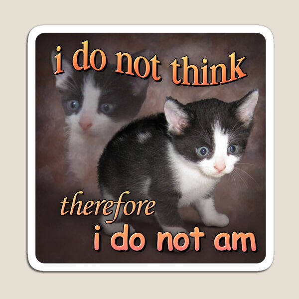 Item preview, No pienso, por lo tanto, no existo - retrato de meme de gato designed and sold by snazzyseagull.