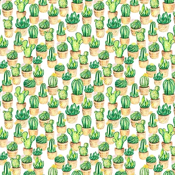 Artwork thumbnail, Funky Cactus Print by SoNifty