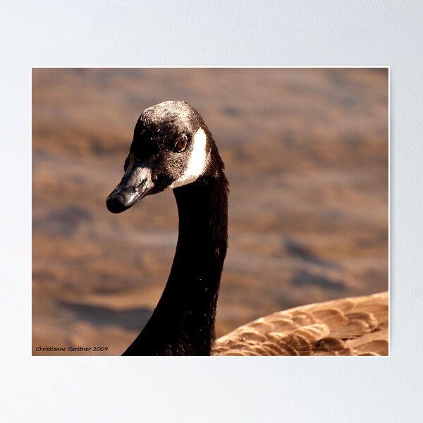 Item preview, Got the Goose designed and sold by Christianne Gerstner.