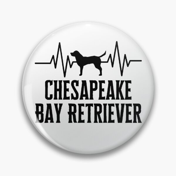 Item preview, Beautiful Chesapeake Bay Retriever designed and sold by Thevulcano.