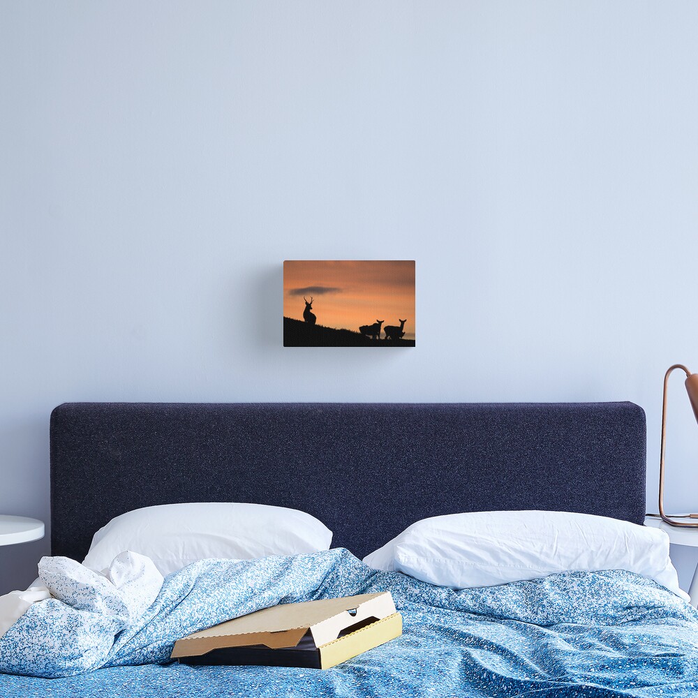 Item preview, Canvas Print designed and sold by Macrae images.