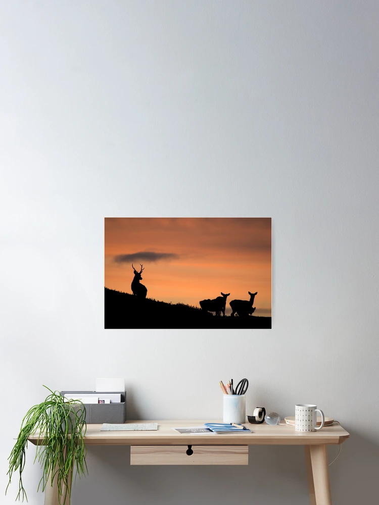 Thumbnail 2 of 3, Poster, Strathglass Silhouettes designed and sold by Macrae images.