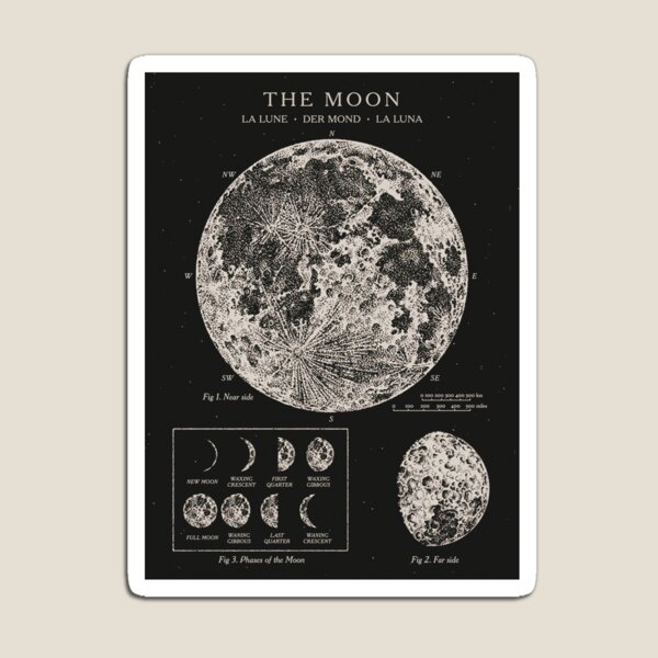Aperçu de l'œuvre Affiche vintage des phases de la lune créée et vendue par Antiquated Art.