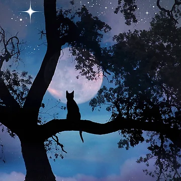 Aperçu de l'œuvre Chat lunatique et lune faisant un vœu de Stephanie Laird