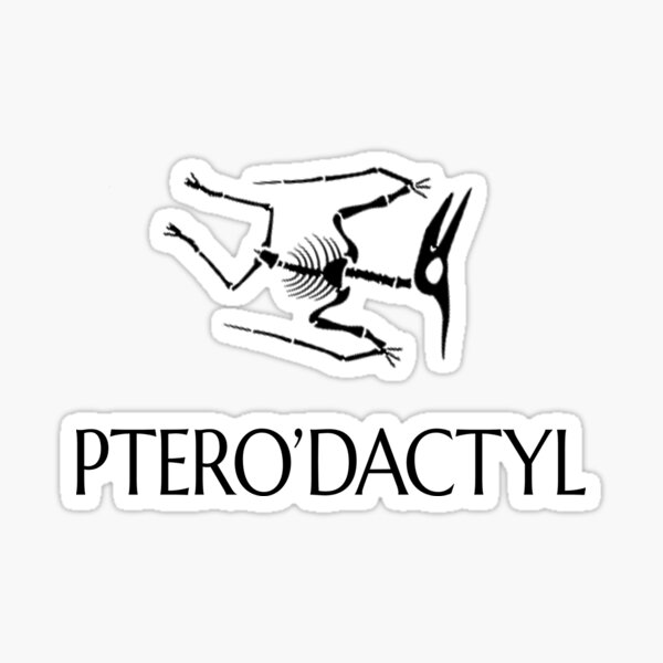Aperçu de l'œuvre Ptérodactyle - Fossile du Jurassique supérieur (Archéologie, Paléontologie) créée et vendue par CottonGarb.