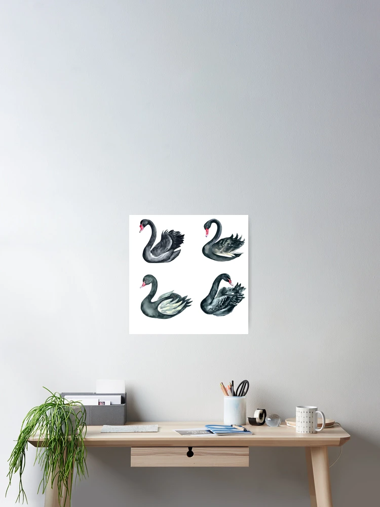 Aperçu 2 sur 3. Poster avec l'œuvre Cygnes noirs créée et vendue par TheAnimalZ00.