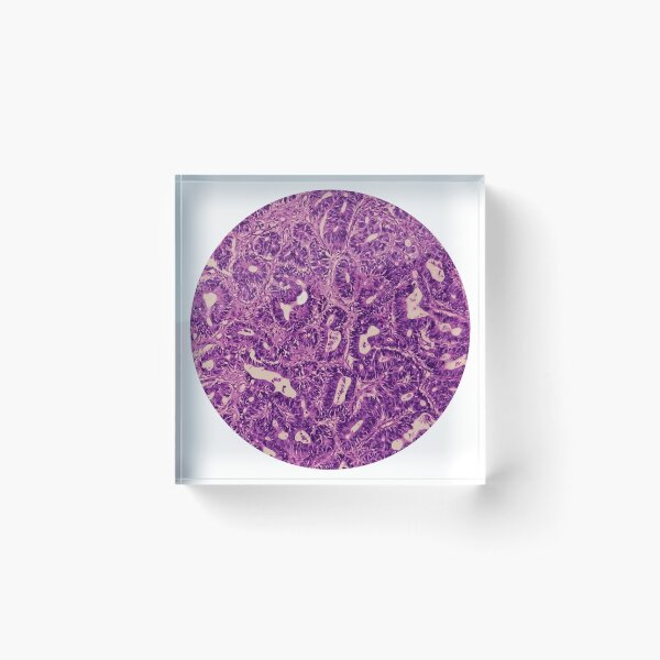 Item preview, histología designed and sold by Oliver-Edgar.