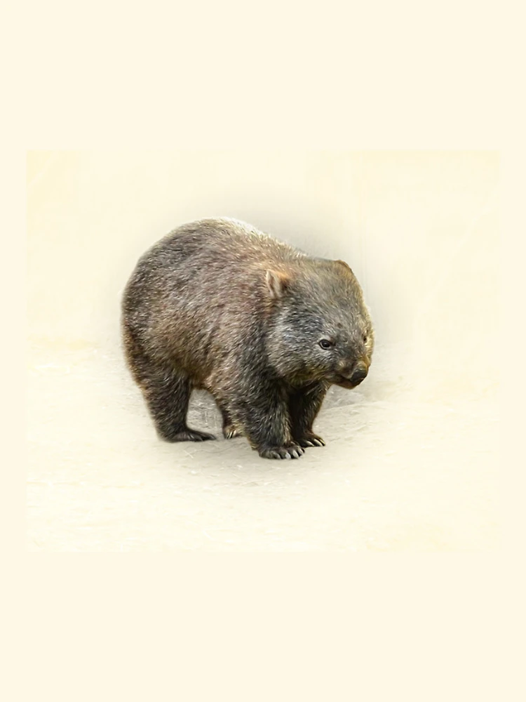 Thumbnail 4 of 4, iPhone Case, Wombat designed and sold by Guardi71.
