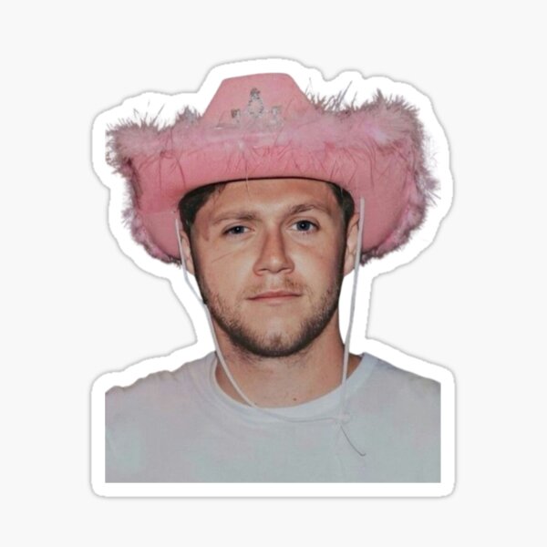Aperçu de l'œuvre Chapeau de cowboy rose Niall Horan créée et vendue par CraftyKayla26.