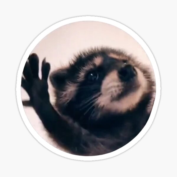 Artikelvorschau, Pedro Techno Waschbär entworfen und verkauft von littlehugo.