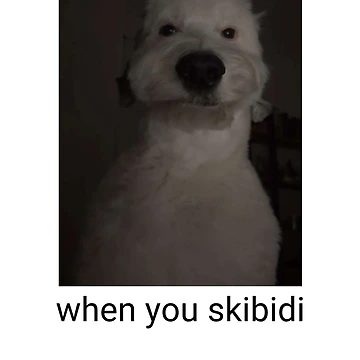 Artwork thumbnail, skibidi dog meme by Hinadio