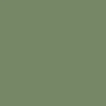 Artwork thumbnail, Khaki Green Solid Color by kierkegaard
