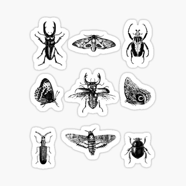 Artikelvorschau, Entomologie: Käfer, Schmetterlinge und Motten entworfen und verkauft von Suspiria96.