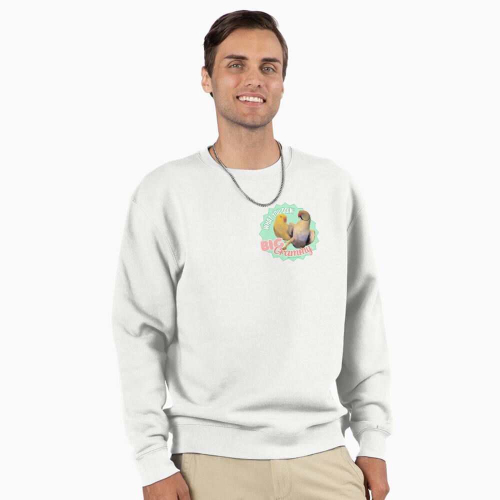 Vista previa del artículo con la obra «Sudadera sin capucha», diseñado y vendido por BeakerBeak.