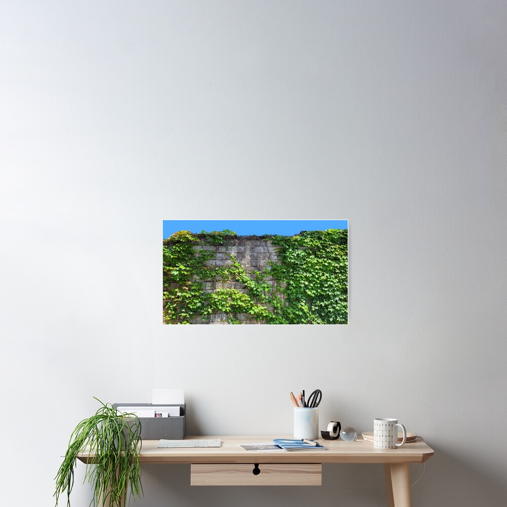 Item preview, Poster designed and sold by PhyreDesigns.