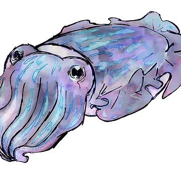 Artwork thumbnail, Veronica the Cuttlefish by castleofjo