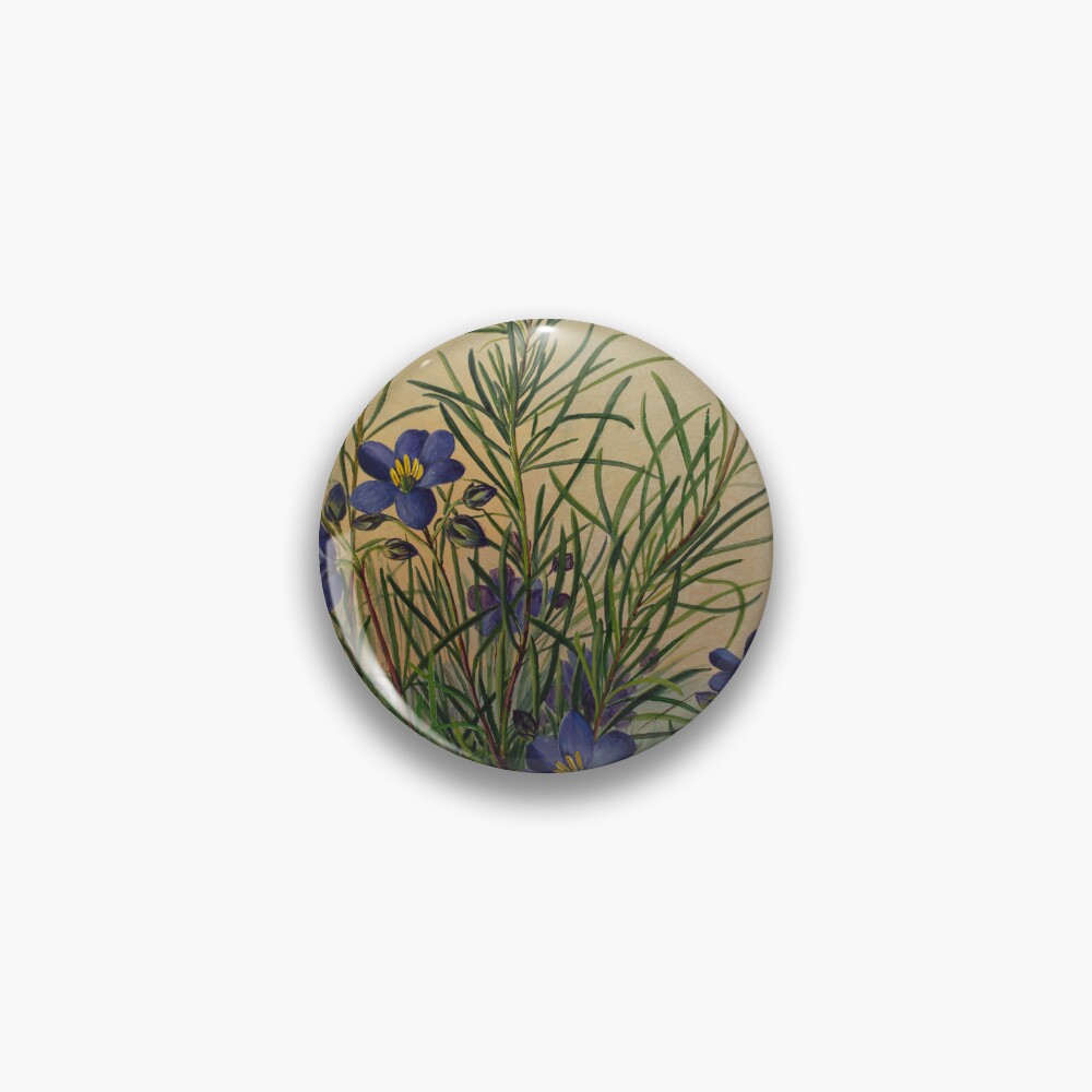 Item preview, Pin designed and sold by State Library of South Australia.