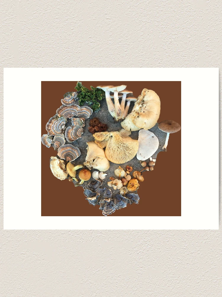 Thumbnail 1 of 3, Art Print, Wild Mushroom Collection designed and sold by leahnevershouts.