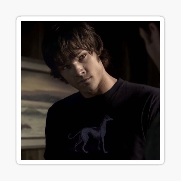 Aperçu de l'œuvre T-shirt pour chien Sam Winchester créée et vendue par MochiKatArt.