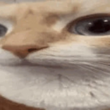 Artwork thumbnail, Uuh Cat by Emizzy