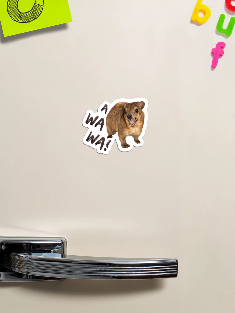 Thumbnail 1 von 3, Magnet, Awawa! Wütend schreiendes Klippschliefer-Meme – süß und lustig designt und verkauft von Jakkuri.