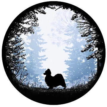 Artwork thumbnail, “First Snow” Papillon Dog by Spinyflowerart