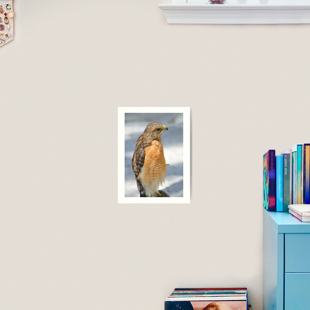 Item preview, Art Print designed and sold by Karl F Davis.