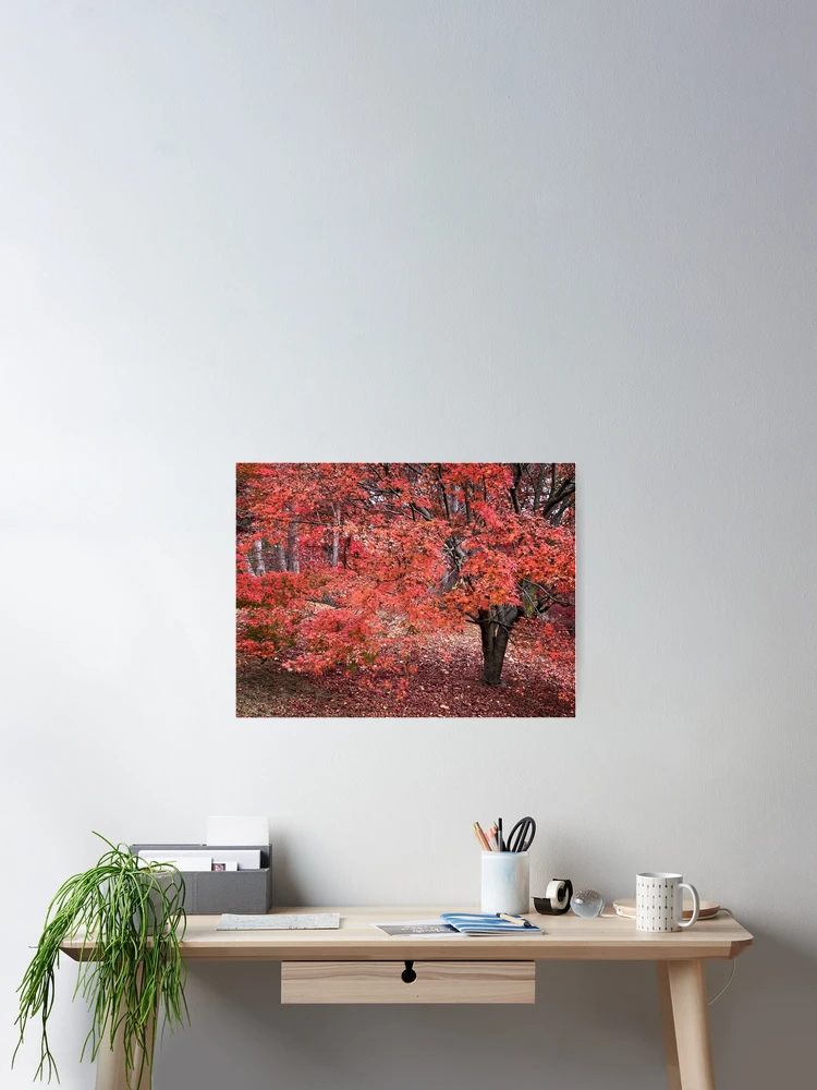 Thumbnail 2 von 3, Poster, Roter Herbst designt und verkauft von LisaCook1.