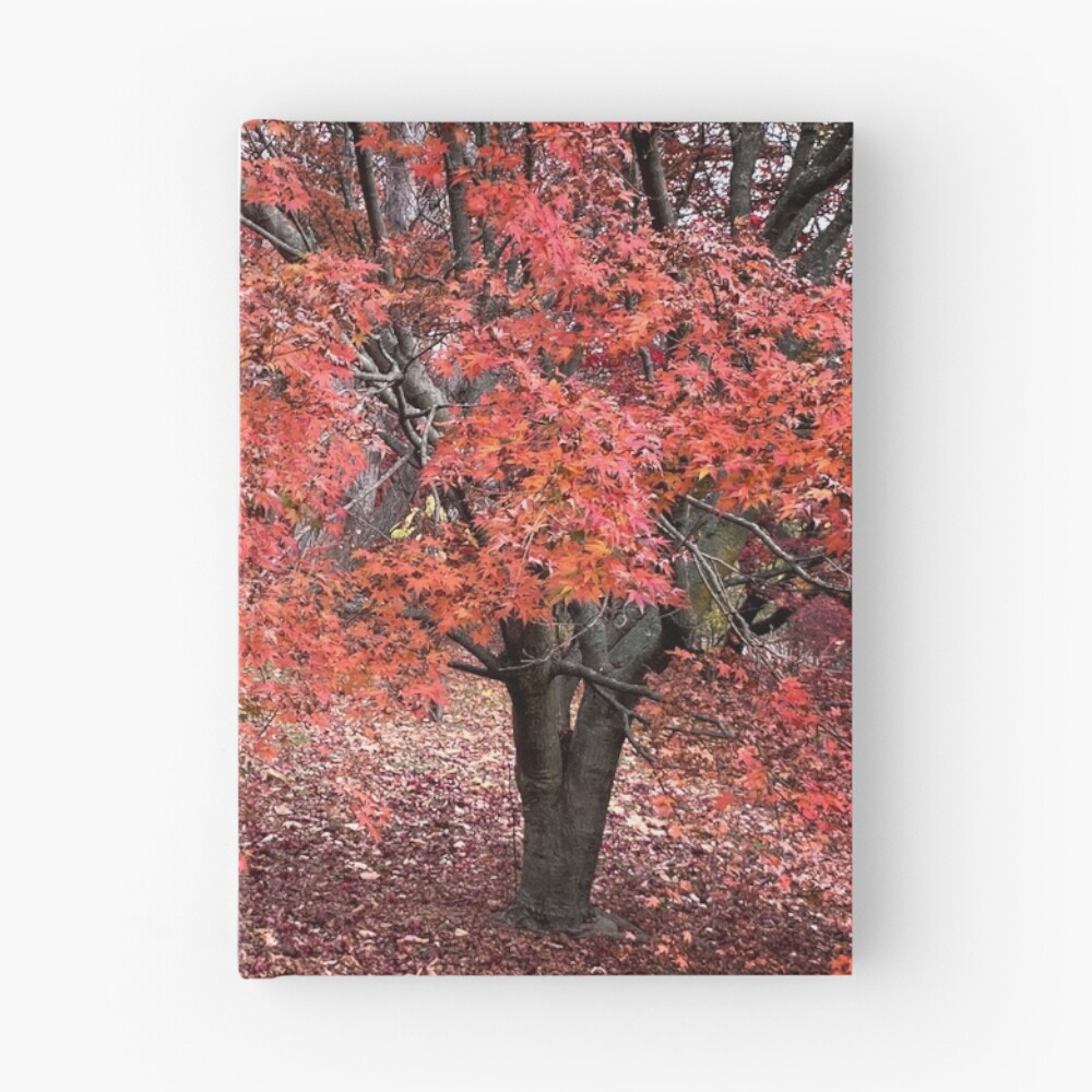 Artikel-Vorschau von Notizbuch, designt und verkauft von LisaCook1.