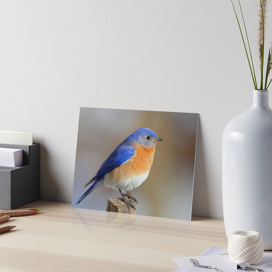 Item preview, Art Board Print designed and sold by Enola Gay Wagner.