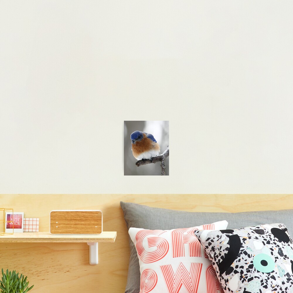 Item preview, Photographic Print designed and sold by Enola Gay Wagner.