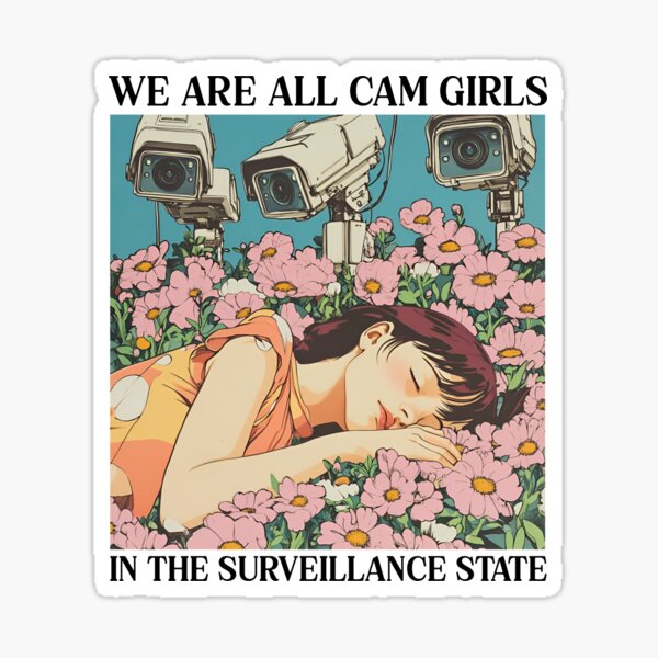 Aperçu de l'œuvre Œuvre d'art d'État anti-surveillance créée et vendue par RockFireMerch.