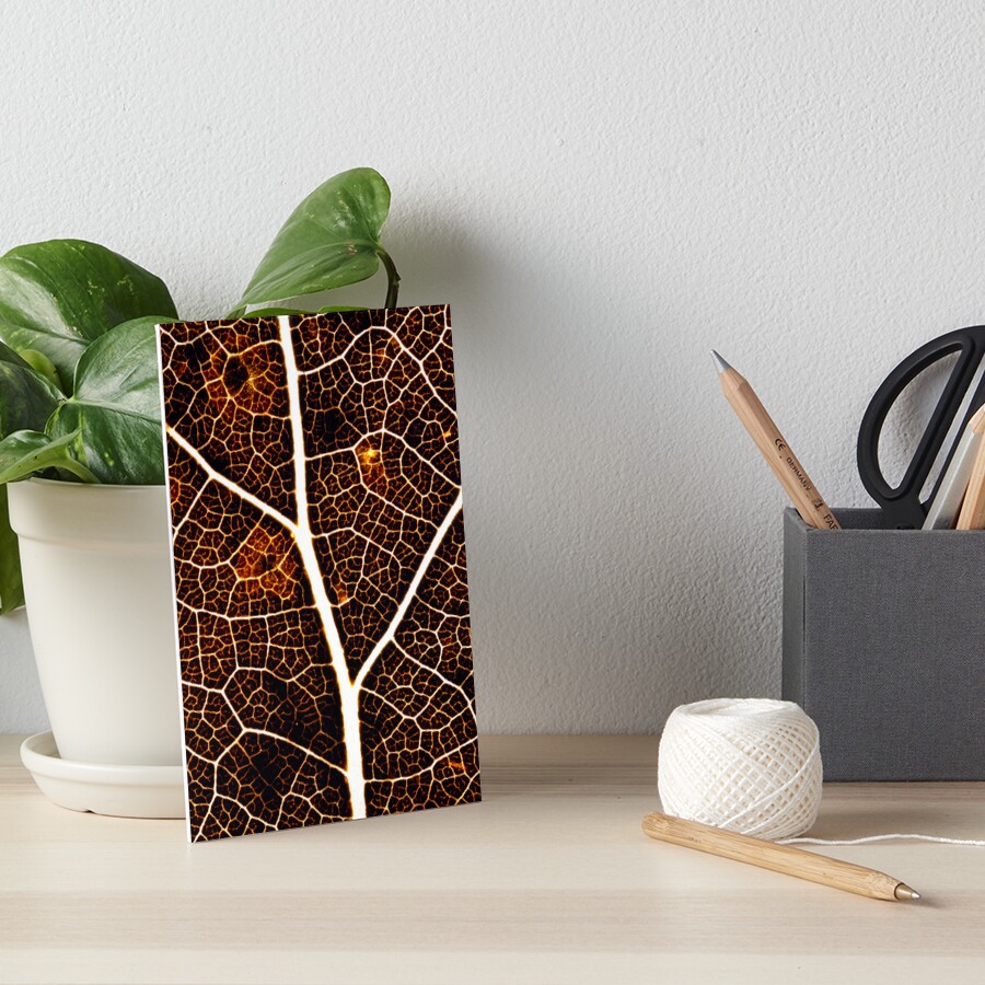 Item preview, Art Board Print designed and sold by Stephen Carmickle.