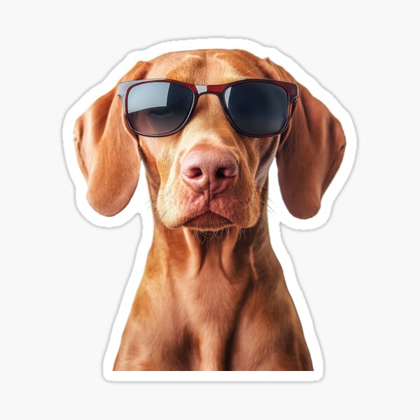 Artikelvorschau, Lustiger cooler Vizsla-Hund mit Sonnenbrille entworfen und verkauft von LazyOwlStore.