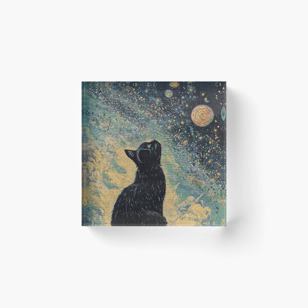Aperçu de l'œuvre Le regard du chat vers l’infini étoilé créée et vendue par TeeTribeWear.