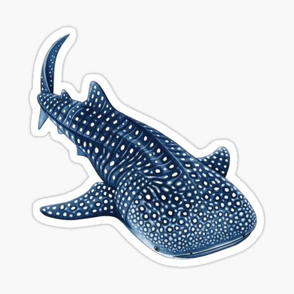 Artikelvorschau, WALHAI Rhincodon typus entworfen und verkauft von 4rtistcDrift.