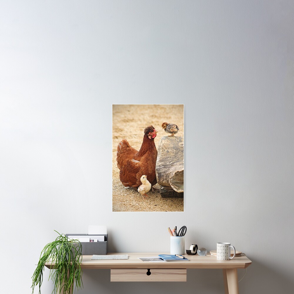 Item preview, Poster designed and sold by Murph's Images.