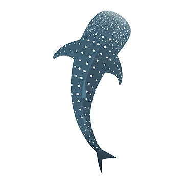 Imagen de la obra Tiburón ballena de madisonmaria
