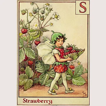 Artwork thumbnail, Flower Fairy Strawberry | Cicely Mary Barker by lea-lani