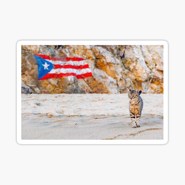 Item preview, gato puertorriqueño designed and sold by Shannon Emmel .