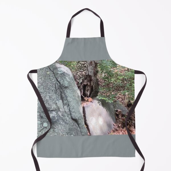 Item preview, Chipmunk in the Forest on Some Rocks designed and sold by Amanda1775.