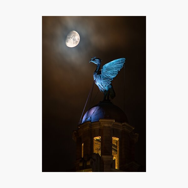 Aperçu de l'œuvre Oiseaux du foie lunaire créée et vendue par neonlightphoto.