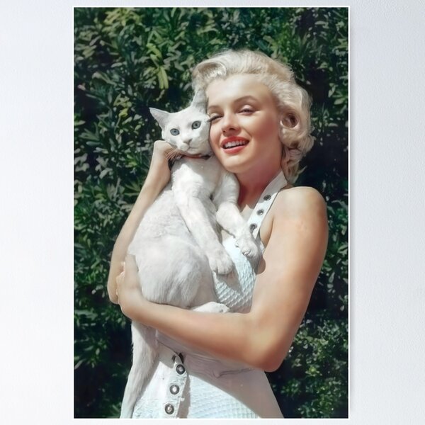Item preview, Retrato de Marilyn Monroe con gato designed and sold by heydayposters.
