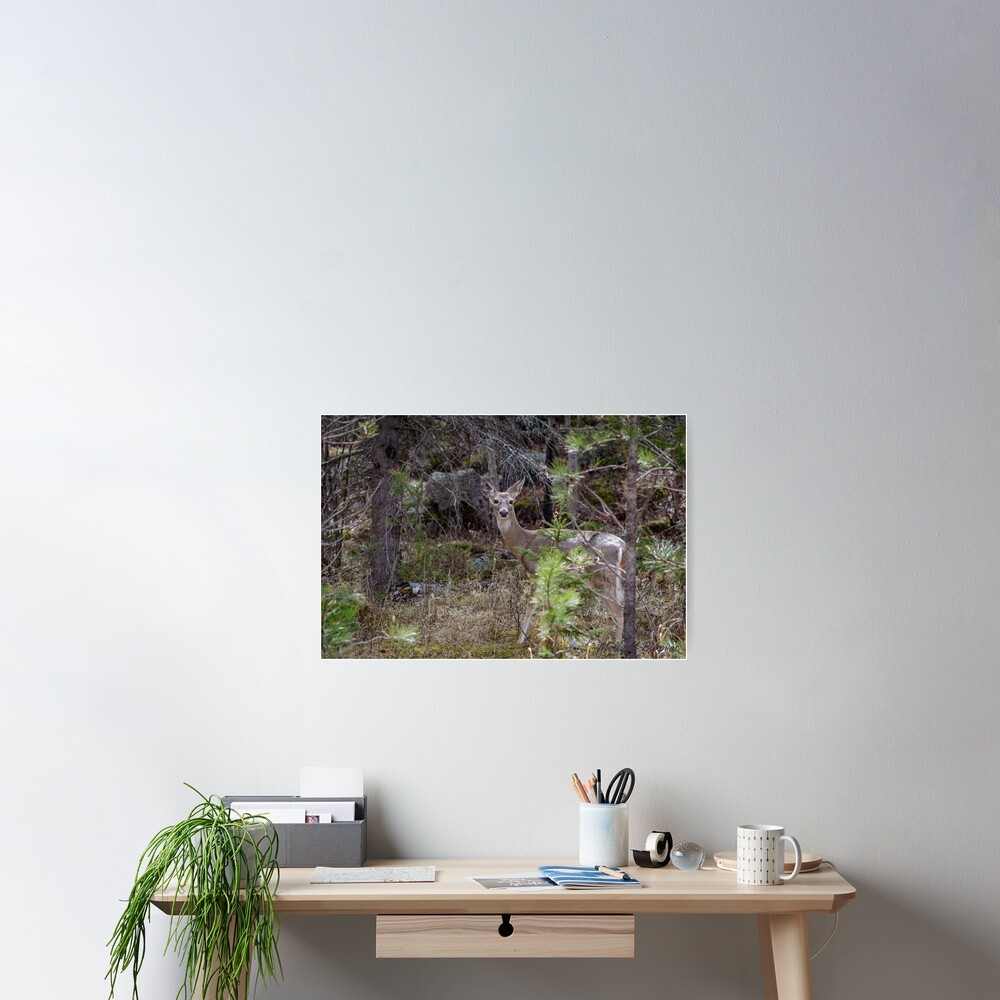 Item preview, Poster designed and sold by MollyBukovac.