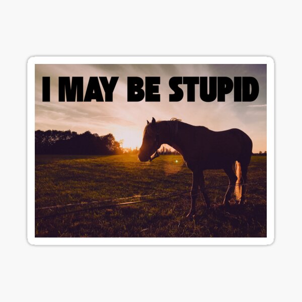 Item preview, i may be stupid designed and sold by Spring Things.