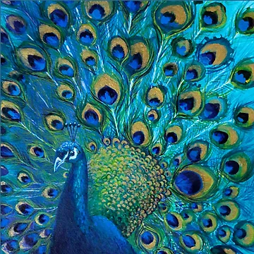 Artwork thumbnail, Peacock In Its Full Glory by Nicola Morgan