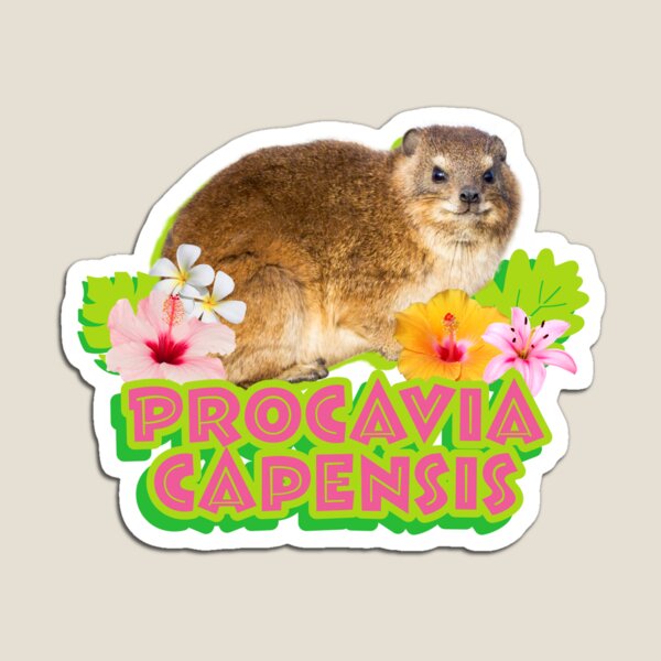 Artikelvorschau, Hyrax Dassie Awawa Groovy Tropical Beach Procavia Capensis Meme entworfen und verkauft von Astropaint.