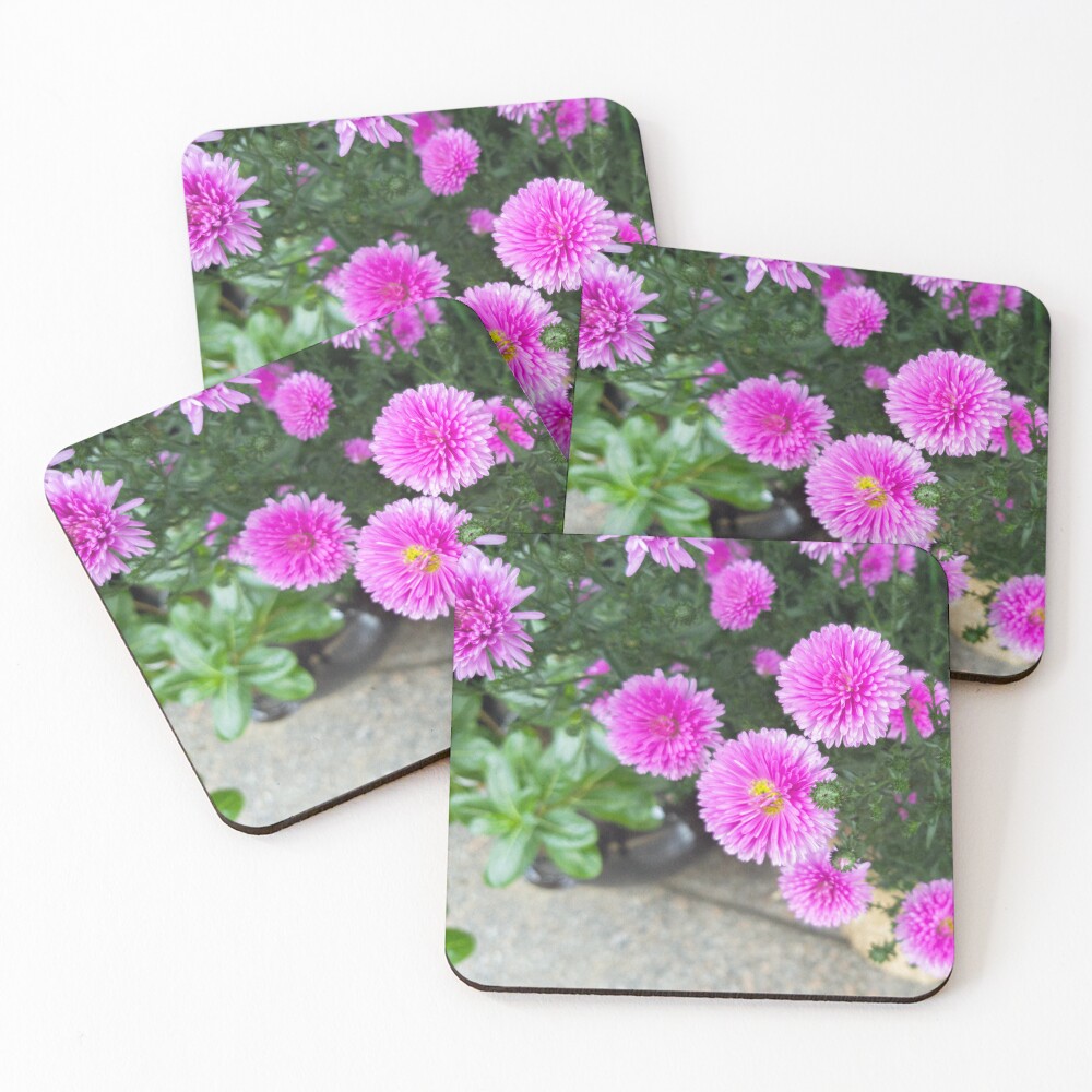 Item preview, Coasters (Set of 4) designed and sold by yunee.