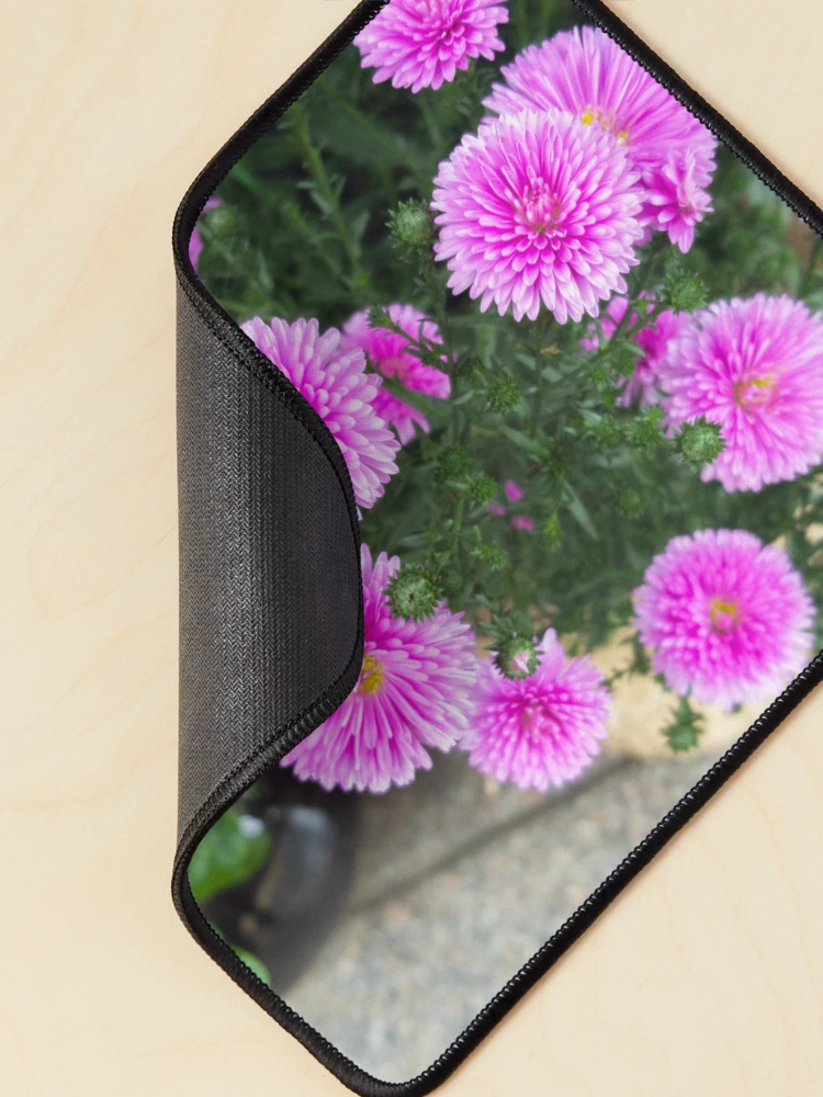 Thumbnail 2 of 5, Mouse Pad, pink daisy designed and sold by yunee.